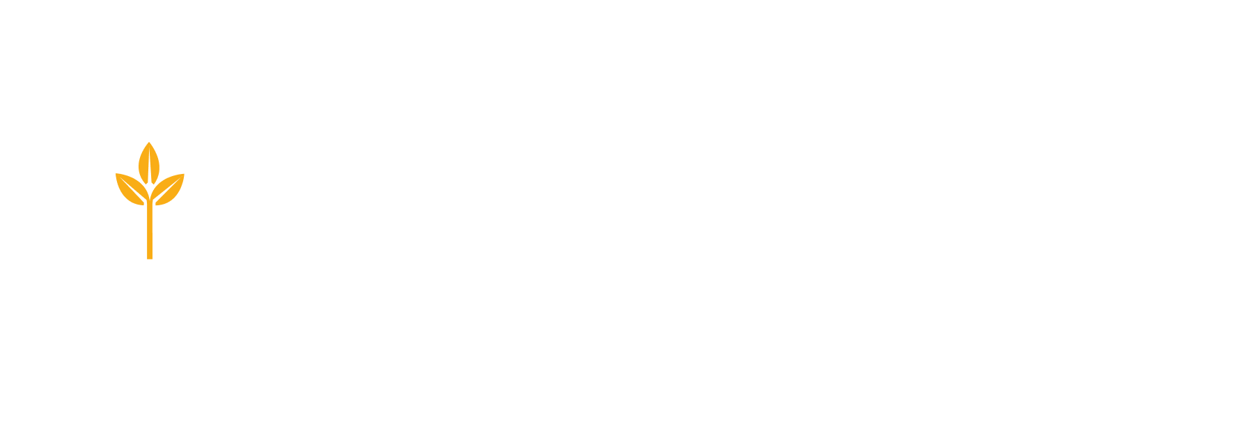 XoElec